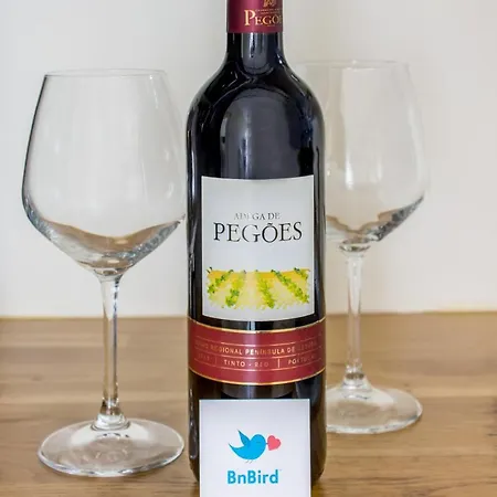 Santa Catarina Modern Flat Apartment Porto