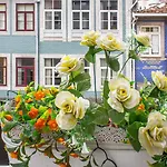 Apartment Santa Catarina Modern Flat