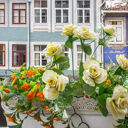 Santa Catarina Modern Flat Apartment