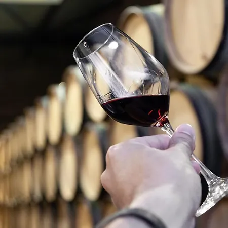 Apartament Santa Catarina Modern Flat Porto