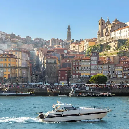 Apartament Santa Catarina Modern Flat *