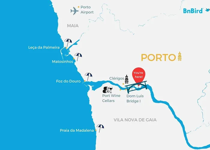 Apartman Santa Catarina Modern Flat *